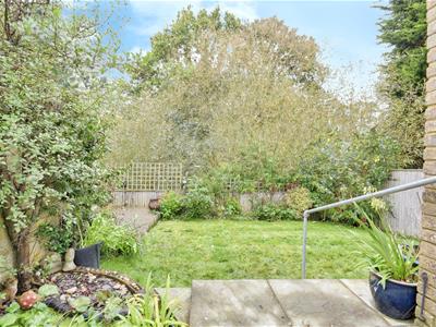 Picture 21